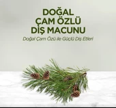 Nessiworld  Eyüp Sabri Tuncer Doğal Diş Macunu 90 Gr Çam Özlü - 3