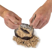 Nessiworld  NAT06002 National Geographic Dino Kazı Kiti - RTNGDINO2 +8 yaş - 5