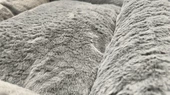 Pawland Tavşan Tüyü Peluş Kedi Yatağı Küçük Irk Köpek Yatağı Füme 60 x 45 cm - 3