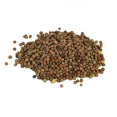 Burçak Tohumu Lathyrus 1 kg, Derya Eren - 2