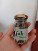 Catnip Doğal Kedi Otu - Kedi Nanesi thumbnail 2