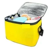 Termos Çanta - Piknik Çantası Buz Aküsü Hediyeli 24lt - 4