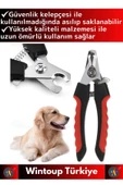Premium Yüksek Kaliteli Güvenlik Kelepçeli Asmalı Petshop Evcil Hayvan Pet Kedi Köpek Tırnak Makası - 2