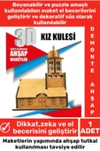 Özel 3D Görsel Zeka Geliştirici Boyanabilir Çocuk Yetişkin Puzzle Dekoratif Demonte Ahşap Oyun Maket - 1