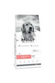 Molly Somonlu Orta ve Büyük Irk Yetişkin Köpek Maması 2 kg - 1