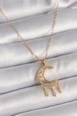 Gold Renk Zincir Zirkon Taşlı Hilal Model Sallantı Yaprak Detay Kadın Kolye - EBJ241228W30258 thumbnail 1