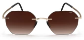 Silhouette 8748 75 7520 Unisex Güneş Gözlüğü - 2
