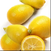 6 Yaş Aşılı Limequat Süs Limonu Fidanı, Torbada thumbnail 1