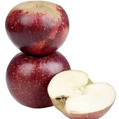 3 Yaş, Aşılı Elma Fidanı ARAP KIZI, Torbada - 1