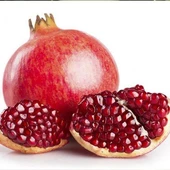 3 Yaş Aşılı Deve Dişi Nar Fidanı, Torbada - 1