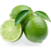 5 Yaş Aşılı Lime (Meksika) Limonu Fidanı, Saksıda - 1