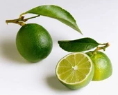 3 Yaş Aşılı Dikensiz Mexican Lime Fidanı, Torbada thumbnail 1