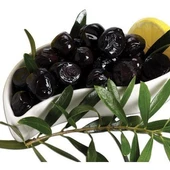 5 Yaş Aşılı Trilye (Gemlik) Zeytin Fidanı, Torbada - 1