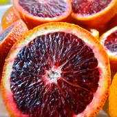 3 Yaş Aşılı Kan Portakalı Fidanı, Torbada - 1