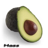 3 Yaş Aşılı Hass Avakado Fidanı, Torbada - 1