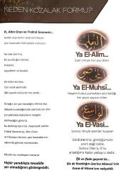 Esmaül Hüsna Çam Kozalak Kristal Taşlı Dini Hediyelik Biblo  (Küçük Boy)  Gümüş - 3