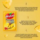 Altunsa Toz İçecek Ananas 9 Gr x 24 Adet - 3