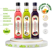 3 LÜ NATUREL SİRKE - 1