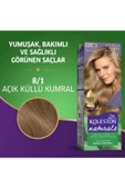 Naturals Saç Boyası Açık Küllü Kumral 8/1 thumbnail 2