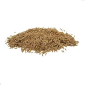 Çim Tohumu Yedili karışım 100 gr, Derya Eren - 2