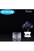 Elusia Lines Çizgili Tekli Cam Çerezlik Royaleks-82637 - 1