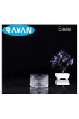 Elusia Stars Çizgili Tekli Cam Çerezlik Royaleks-81276 - 1