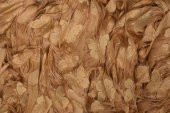 KELEBEK  MODEL GOLD RENK İP PERDE HAZIR DÜĞMELERİ DİKİLMİŞ İP PERDE 300*270 cm - 6