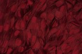 PUANLI MODEL BORDO RENK İP PERDE HAZIR DÜĞMELERİ DİKİLMİŞ İP PERDE 300*270 cm - 6