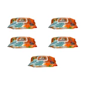 Freshmaker Islak Havlu Mendil - Alkolsüz - pH Dengelenmiş - Çiçeksi Kokular - 90 Adetlik 5 Paket thumbnail 1