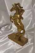 Kaideli Şahlanan KırAt Gold Yeleli - 4