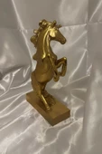 Kaideli Şahlanan KırAt Gold Yeleli - 3