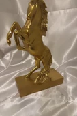 Kaideli Şahlanan KırAt Gold Yeleli - 7