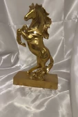 Kaideli Şahlanan KırAt Gold Yeleli - 6