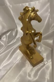 Kaideli Şahlanan KırAt Gold Yeleli - 2
