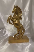 Kaideli Şahlanan KırAt Gold Yeleli - 1
