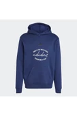 Adidas IW3567 Bl Fl Hd Gd Q3 Erkek Sweatshirt - 5