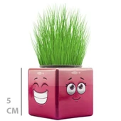 Çim Adam Mini Küp Emoji Figürlü 1 Adet - 4