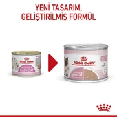 Royal Canin Mother Babycat Pate Yavru Kedi Konservesi 12 Adet 195 Gr thumbnail 2