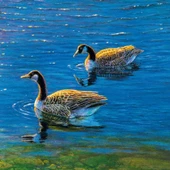 Ks Games 1000 Parça Mountain Paradise Puzzle - Kim Norlien thumbnail 3