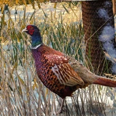 Ks Games 1000 Parça Red Barn Farm Puzzle - Dominic Davison thumbnail 3