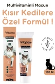 Vitpaw Sterile Paste 100 Gr. thumbnail 1