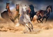 Ks Games 1000 Parça Vahşi Koşan Atlar Puzzle - Sally Curtis thumbnail 3