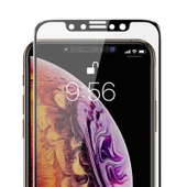 Apple iPhone XS Max 6.5 - Ekran Koruyucu Davin Hayalet Cam Koruma - 4