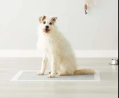 NoName - Kedi ve Köpekler için Tuvalet Eğitim / Çiş Pedi - 60x90cm / 40gr / 50ad - 4