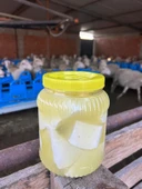 Balıkesir Yöresi Tam Yağlı Katkısız %100 Organik Koyun Peyniri 1.5 Kg Kuru Ağırlık - 1