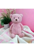 Pembe Ayı Uykucu Dolum Oyuncak 50 cm Orta Boy Bebek Uyku ve Oyun Arkadaşı - 2
