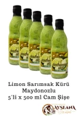 Limon Sarımsak Kürü Maydanozlu 5 x 500 ml Cam El Yapımı - 2