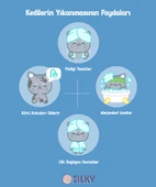 SilkyPetWash - Köpeklere özel Doğal Kavun Özlü Şampuan - 400ml - 4