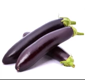 PATLICAN KEMER  ( ÇOKLU TOHUM ) - 5 Gram - 1