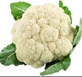 KARNIBAHAR ( ÇOKLU TOHUM ) - 5 Gram - 1